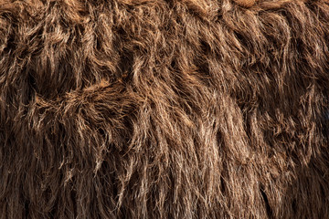 Fleece brown,Close up of fleece, exture background.