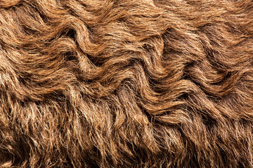 Naklejka premium Fleece brown,Close up of fleece, exture background.