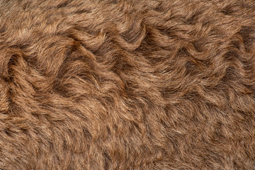 Fleece brown,Close up of fleece, exture background.