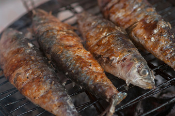 Delicious sardines grilled or roasted on the barbecue BBQ