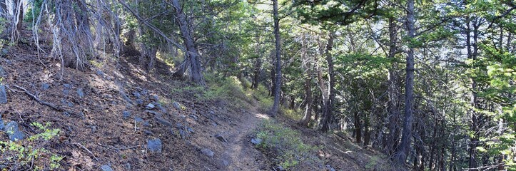 Butterfield canyon hiking path views of the Oquirrh range along the Wasatch Front Rocky Mountains, by Kennecott Rio Tinto Copper mine, Tooele and Salt Lake City fall. Utah, United States.