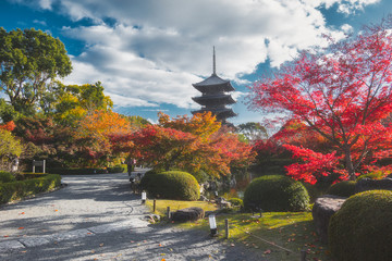 京都 東寺の紅葉と秋景色