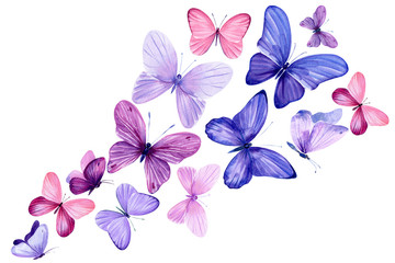 Image of swarm of pink and purple butterflies on an isolated white background, watercolor painting printed on Printed Glass Splashbacks