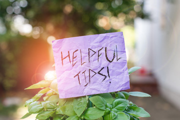 Text sign showing Helpful Tips. Business photo showcasing advices given to be helpful knowledge in life Plain empty paper attached to a stick and placed in the green leafy plants