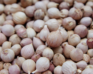 Background of elephant garlic, Thailand.