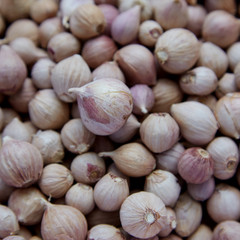 Background of elephant garlic, Thailand.