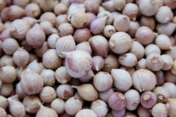 Background of elephant garlic, Thailand.