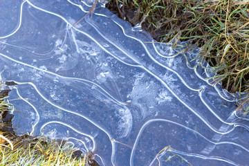 Ice puddle 1