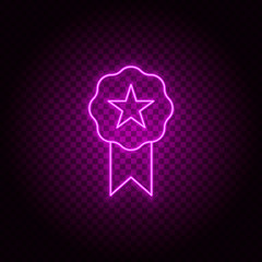 Award, media, rating, star vector icon. Element of simple icon for websites, web design, mobile app, info graphics. Pink color. Neon vector on dark background