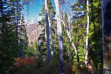 Butterfield canyon hiking path views of the Oquirrh range along the Wasatch Front Rocky Mountains, by Kennecott Rio Tinto Copper mine, Tooele and Salt Lake City fall. Utah, United States.