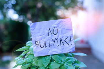 Text sign showing No Bullying. Business photo showcasing stop aggressive behavior among children...