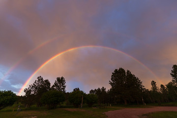 Naklejka premium Double Rainbow over Trees