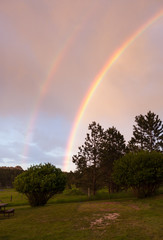 Double Rainbow over Trees