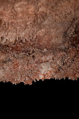 Wind Cave National Park Formations