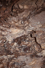 Wind Cave National Park Formations