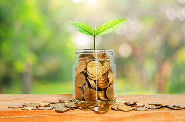 green plant grow on golden coin in glass jar with money on wood table with blur nature background....