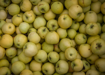 green apples in the market