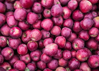 apples in bin
