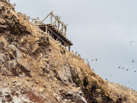 Wooden structure at the top of a cliff at ballestas islands, used by the guano recollectors, many birds over the rocks