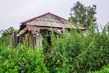 Fototapeta na wymiar An old abandoned country house. Boltovo Village, Western Siberia