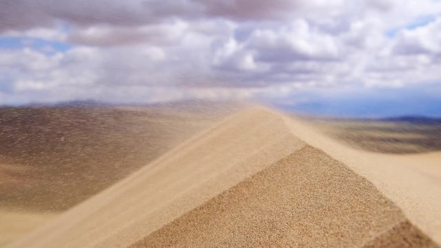 Close-up view of sand dunes in desert. Wind in desert drives sand. Large barkhan in Mongolia sandy dune desert Mongol Els. Govi-Altay, Mongolia.