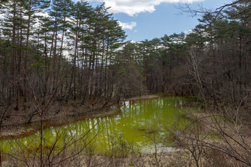 赤沼／五色沼湖沼群／福島県北塩原村