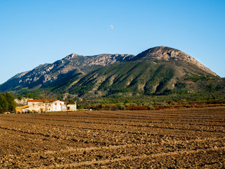 plantation with rural house and sierra de almudaina