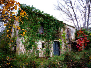 abandoned country house covered by vegetation