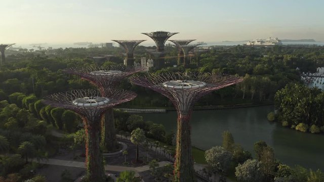 Singapore's Super Trees at sunrise over the gardens by the bay.