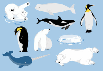 Simple arctic animal with bear polar,penguin,narwhale.Vector illustration character doodle cartoon