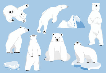 Simple white bear character.Vector illustration character doodle cartoon © piixypeach
