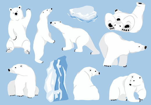 Simple white bear character.Vector illustration character doodle cartoon