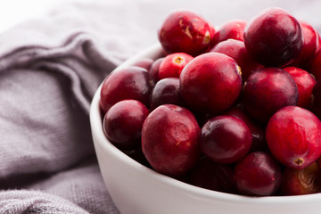Ceramic bowl of Cranberry on white background