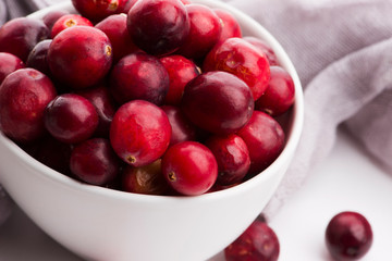 Ceramic bowl of Cranberry on white background