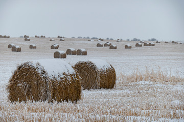 winter round bales