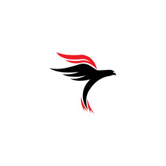 Obraz premium falcon eagle bird logo template vector