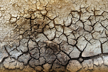Dry soil cracked Rift due to global warming. with blur focus
