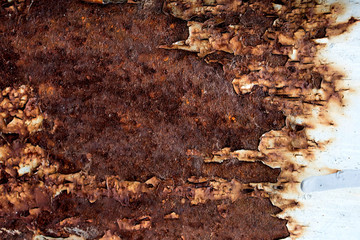 Metal Rust Background, old metal iron rust texture 