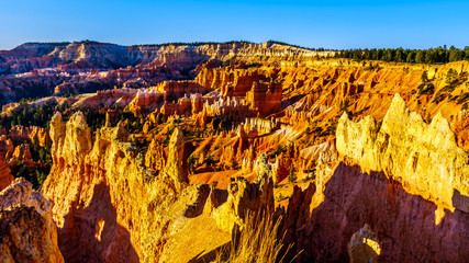 Sunrise over the Vermilion Colored Hoodoos along the Navajo Trail in Bryce Canyon National Park,...