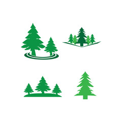 pine tree logo illustration vector design