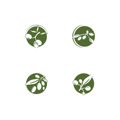 Olive logo template vector icon illustration design