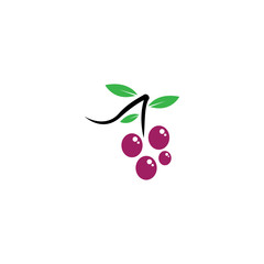 Grapes logo template vector icon illustration design