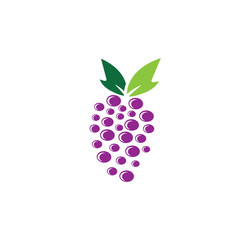 Grapes logo template vector icon illustration design