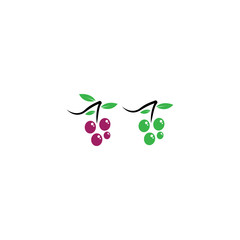 Grapes logo template vector icon illustration design