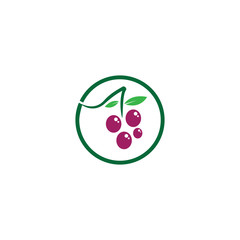 Grapes logo template vector icon illustration design