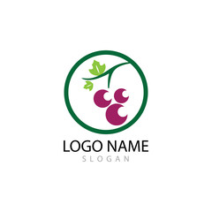 Grapes logo template vector icon illustration design