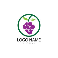 Grapes logo template vector icon illustration design