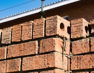 Lizard crawling up brick wall of house