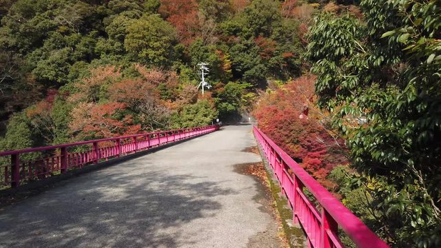 Bridge over Echi River towards Eigenji Temple, Slow pan over peaceful Japan scene with Autumn Color