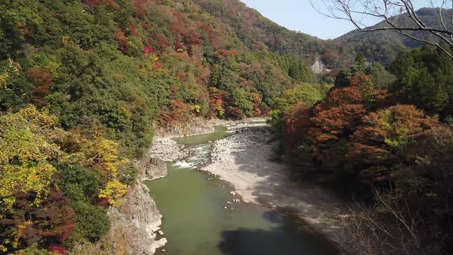 Vibrant Autumn mountainside of Eigenji, Shiga Prefecture. Tilt up reveal over Rural Japan